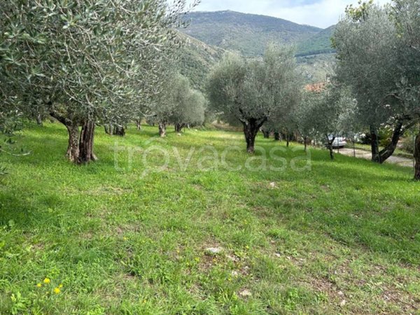 terreno agricolo in vendita a Sora