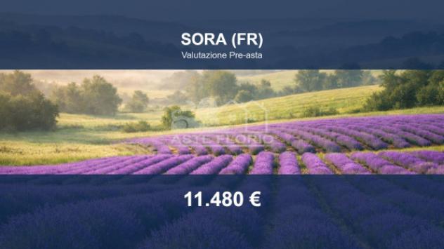 terreno agricolo in vendita a Sora