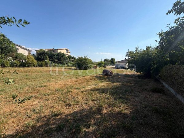 terreno agricolo in vendita a Sora