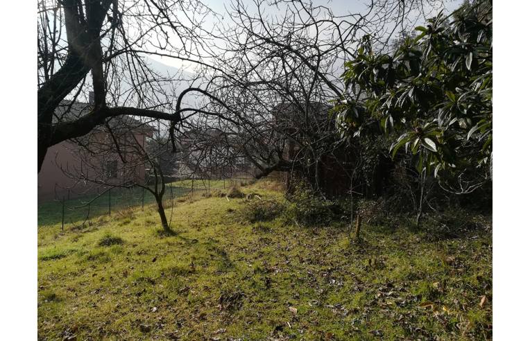 terreno agricolo in vendita a Supino