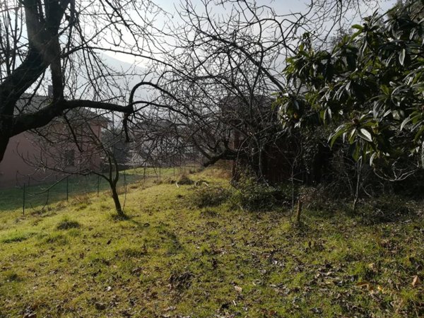 terreno agricolo in vendita a Supino