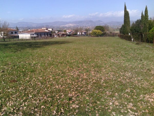 terreno agricolo in vendita a Supino