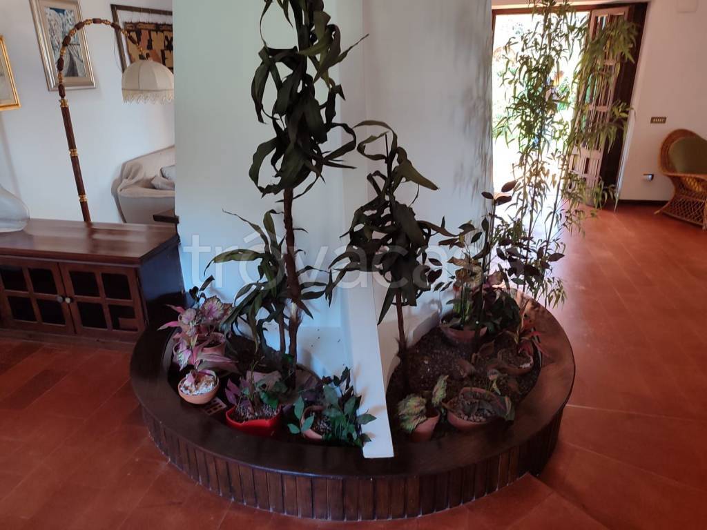 casa indipendente in vendita a Supino