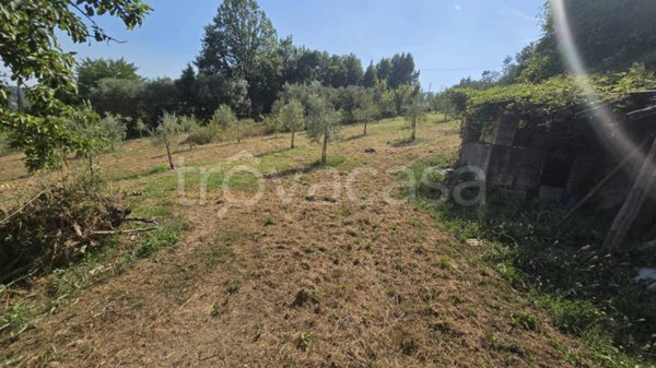 casa indipendente in vendita a Torrice