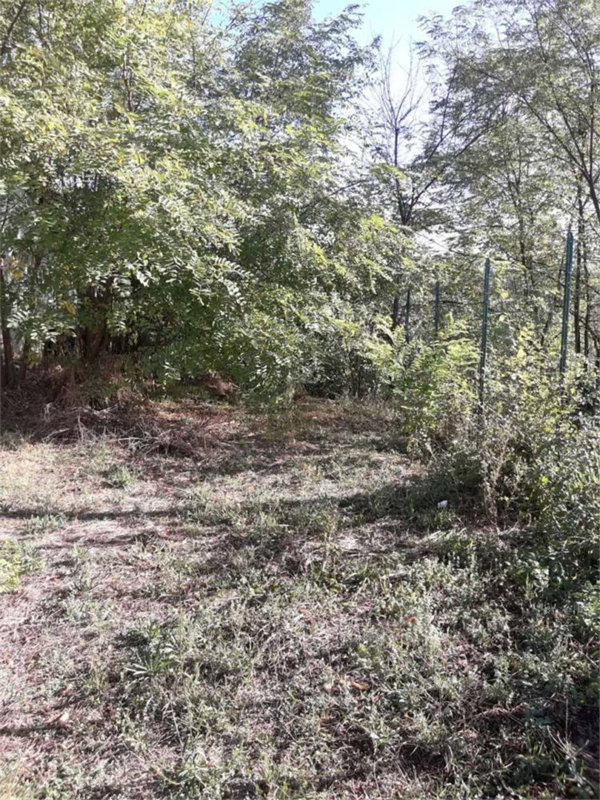 casa indipendente in vendita a Torrice