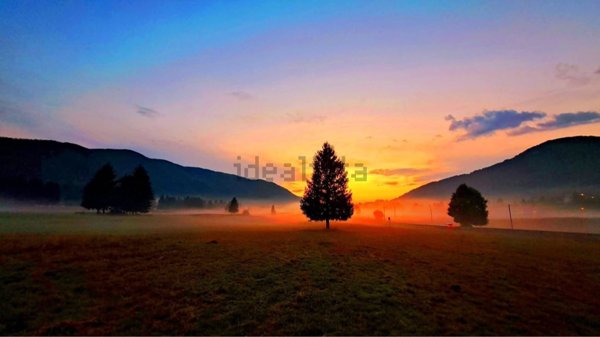 esavano in vendita a Trevi nel Lazio
