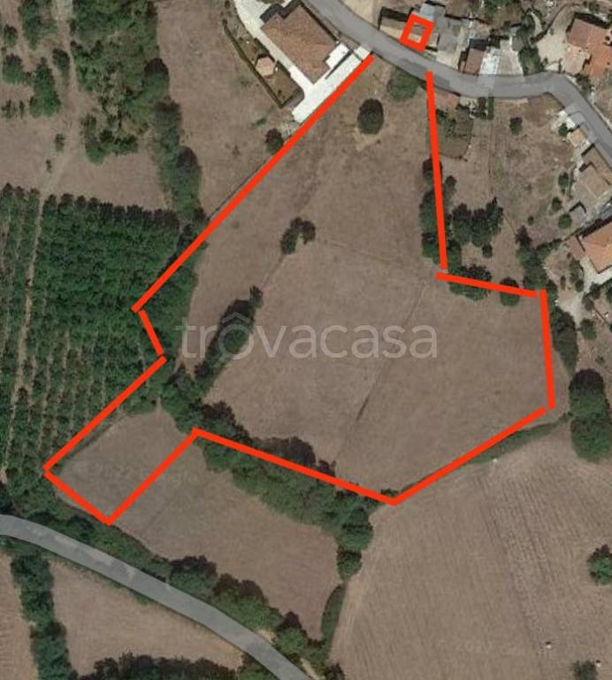 terreno agricolo in vendita a Trivigliano