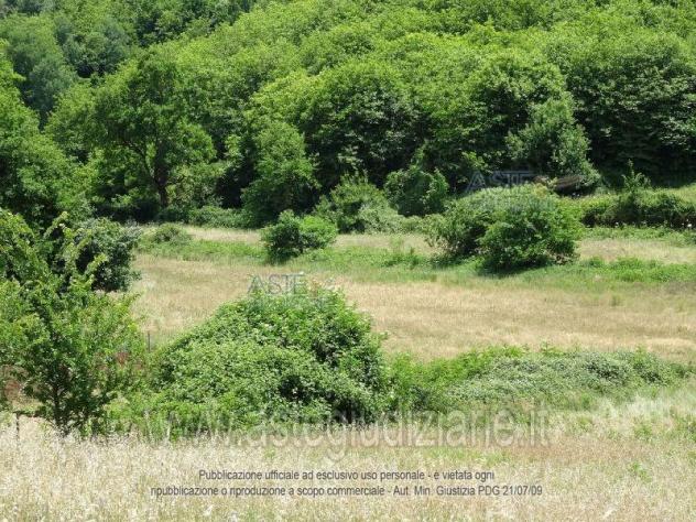 terreno agricolo in vendita a Trivigliano in zona Valcagnano