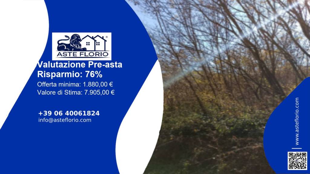 terreno agricolo in vendita a Trivigliano