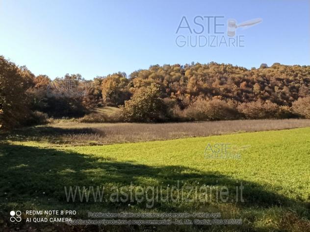 terreno agricolo in vendita a Trivigliano