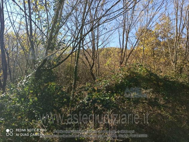 terreno agricolo in vendita a Trivigliano