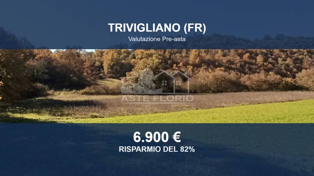 terreno agricolo in vendita a Trivigliano