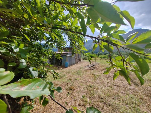 casa indipendente in vendita a Vallecorsa