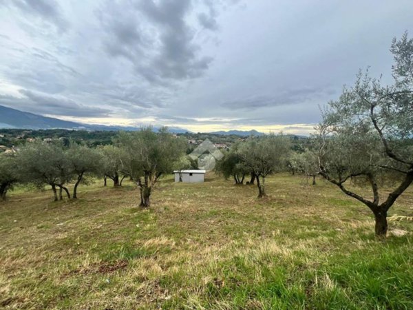 terreno agricolo in vendita a Veroli