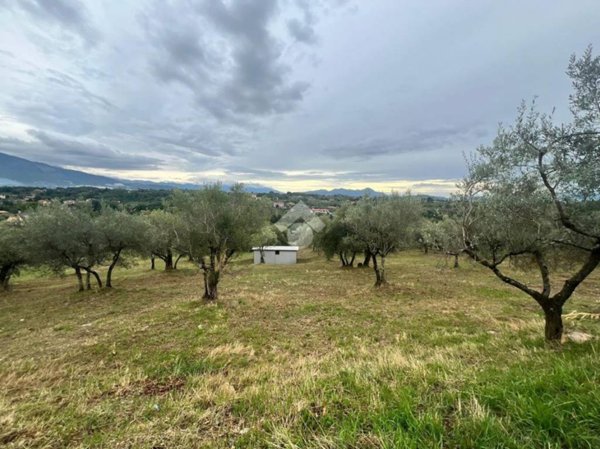 terreno agricolo in vendita a Veroli