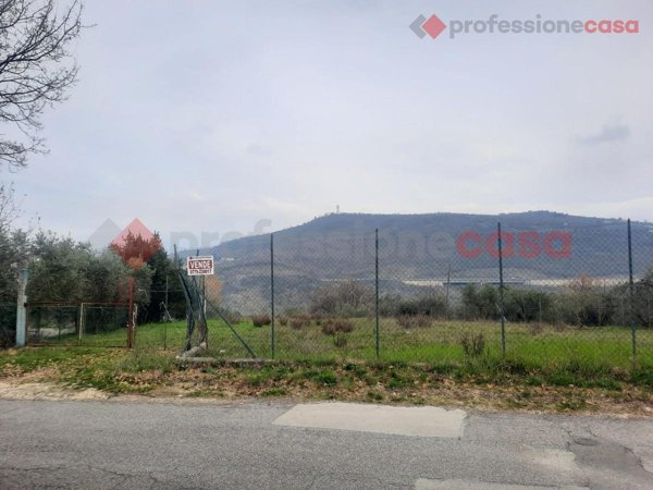 terreno agricolo in vendita a Veroli