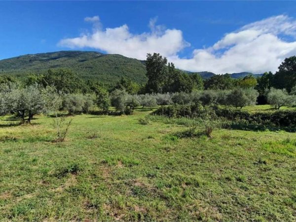 terreno agricolo in vendita a Veroli in zona Santa Francesca