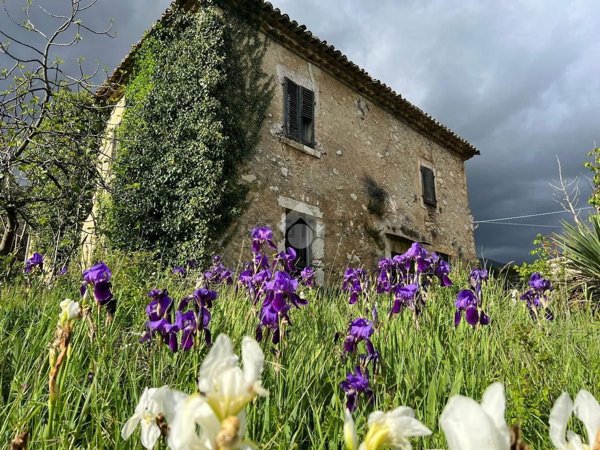 casa indipendente in vendita a Veroli in zona Santa Francesca