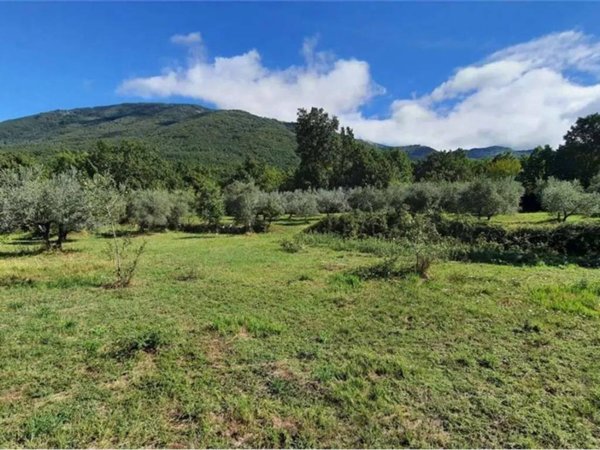 terreno agricolo in vendita a Veroli in zona Santa Francesca