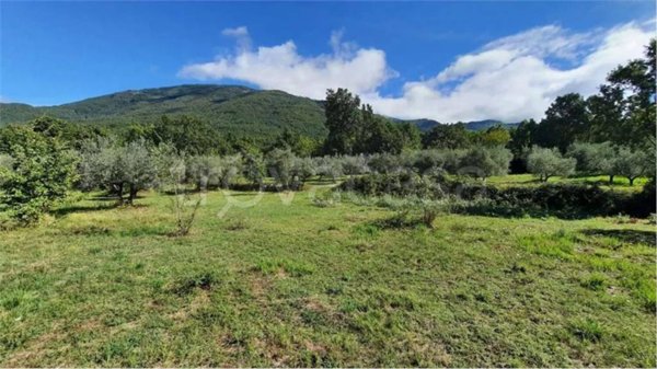 terreno agricolo in vendita a Veroli in zona Santa Francesca