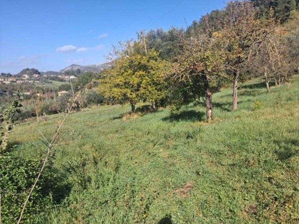 terreno agricolo in vendita a Veroli