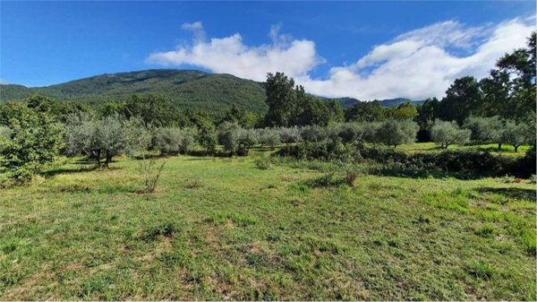 terreno agricolo in vendita a Veroli in zona Santa Francesca