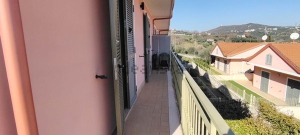 esavano in vendita a Veroli