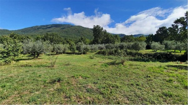 terreno agricolo in vendita a Veroli