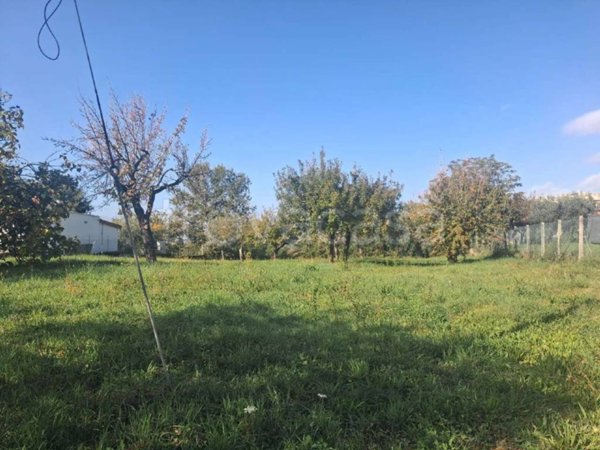 terreno agricolo in vendita a Veroli