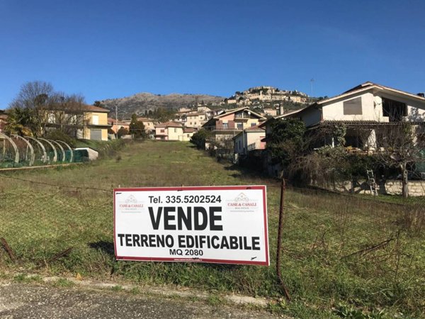 terreno agricolo in vendita a Vicalvi