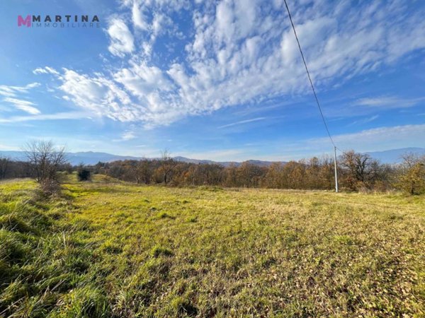 terreno agricolo in vendita a Vicalvi