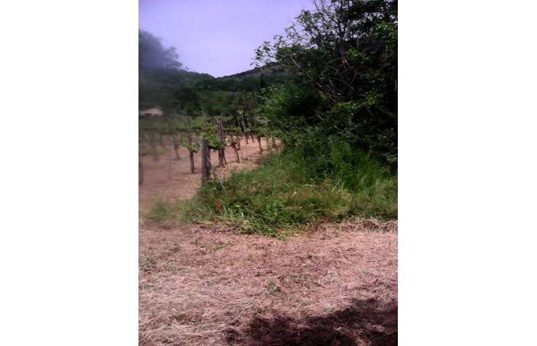 casa indipendente in vendita a Vicalvi