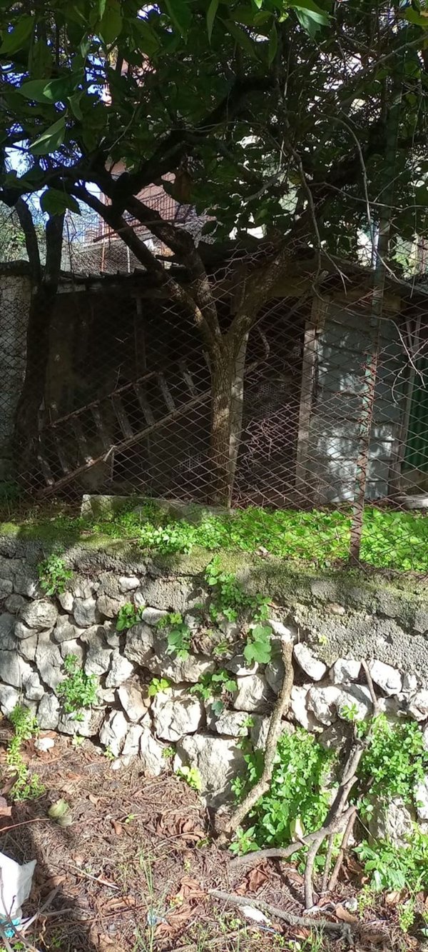 appartamento in vendita a Vico nel Lazio