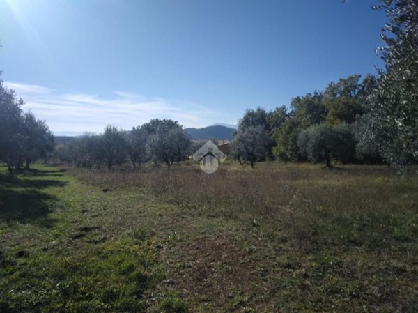 terreno agricolo in vendita a Vico nel Lazio