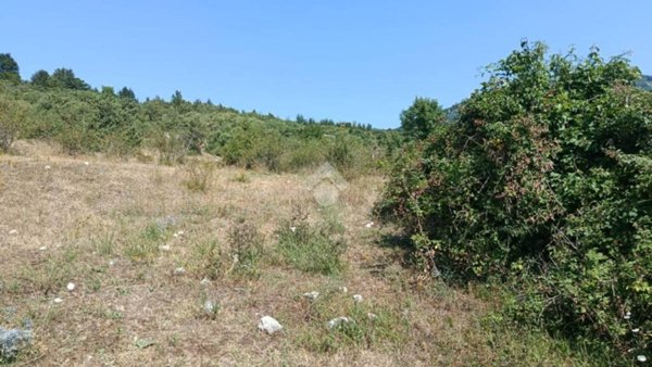 terreno agricolo in vendita a Vico nel Lazio
