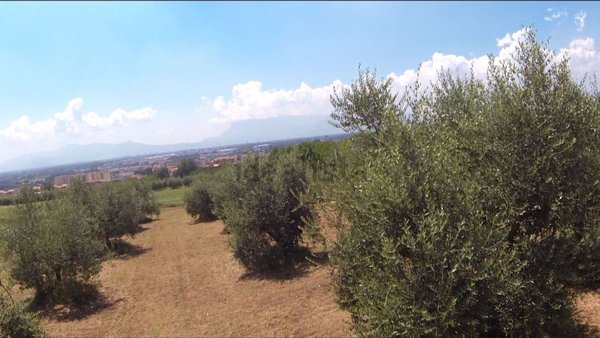 casa indipendente in vendita a Villa Santa Lucia