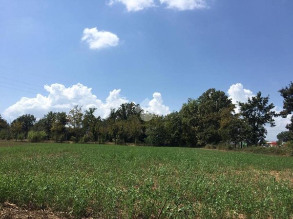 terreno agricolo in vendita a Villa Santa Lucia in zona Piumarola