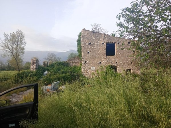 terreno agricolo in vendita ad Alife