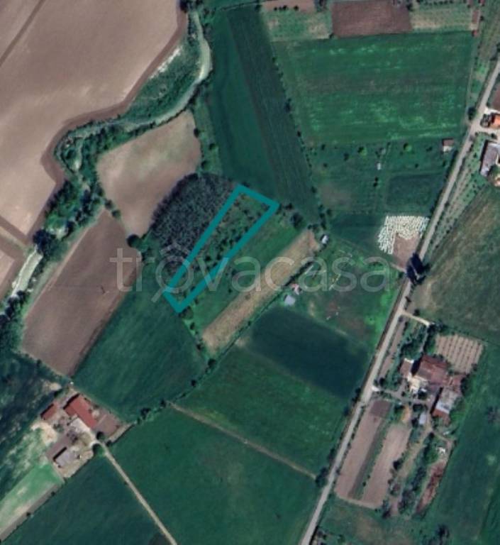terreno agricolo in vendita ad Alife in zona Saetta