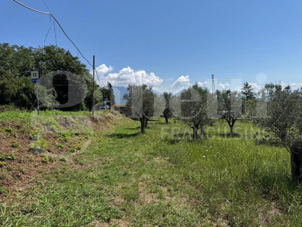 terreno agricolo in vendita ad Alife