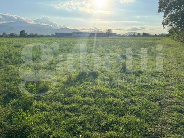 terreno industriale in vendita ad Alife