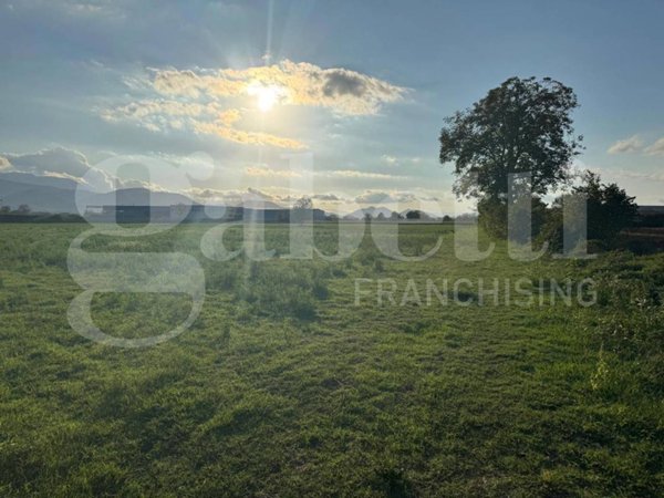 terreno agricolo in vendita ad Alife