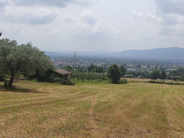 rudere in vendita ad Alife in zona San Michele