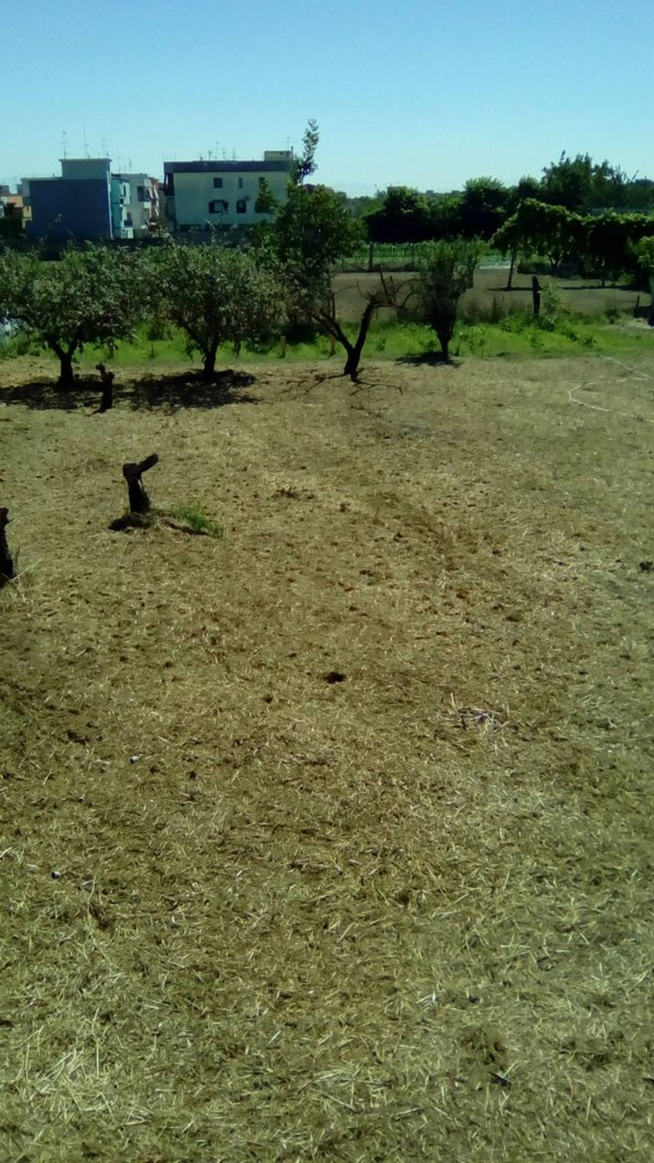 casa indipendente in vendita ad Alife in zona San Michele