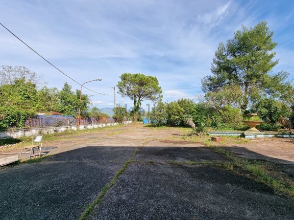 negozio in vendita ad Alife