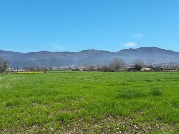 terreno agricolo in vendita ad Alife in zona Marmaruolo