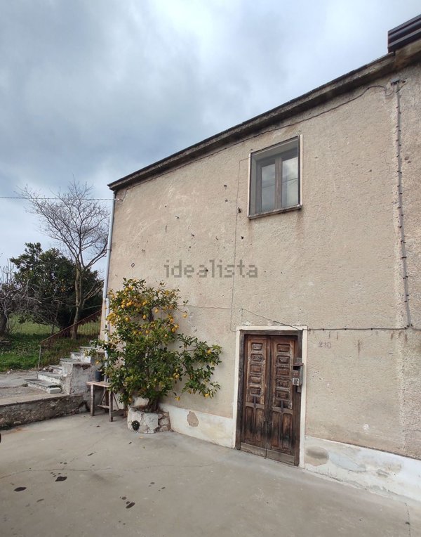 esavano in vendita ad Alife in zona Marmaruolo