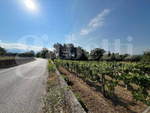 terreno agricolo in vendita ad Alife in zona Marmaruolo