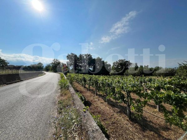 terreno agricolo in vendita ad Alife in zona Marmaruolo