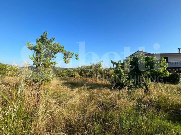 terreno agricolo in vendita ad Alife